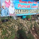 WhatsApp Image 2025-11-26 at 08.26.08 (1)